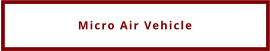Micro Air Vehicle